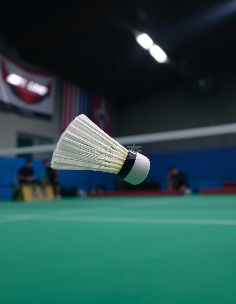 在这场跌宕 在这场跌宕